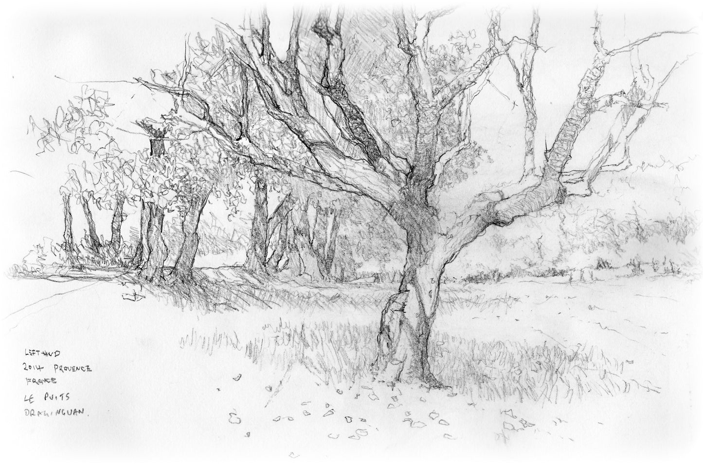 1 Day - Drawing to Improve Thurs 5th Mar 2026